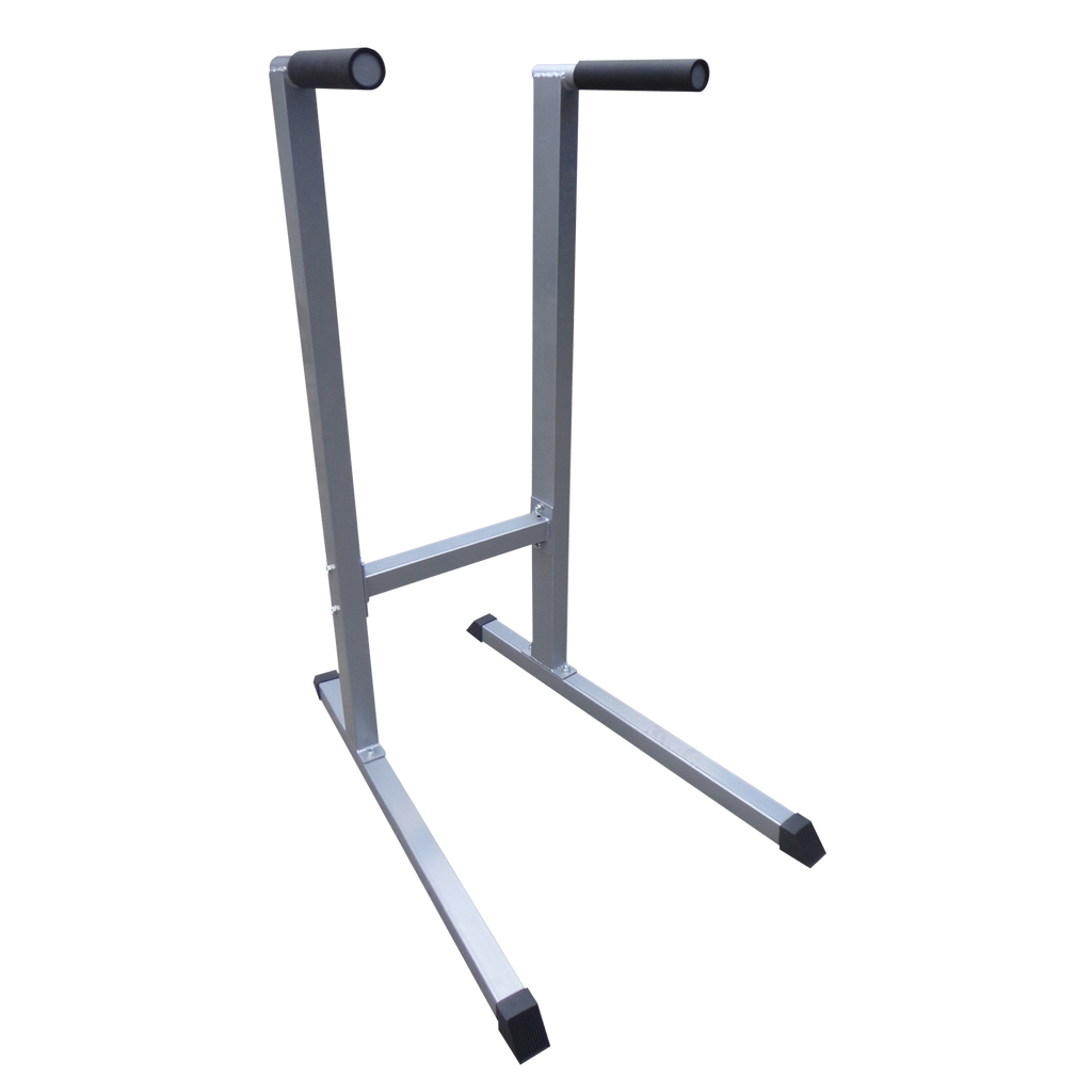 NNEDSZ Dip Station Gym Fitness