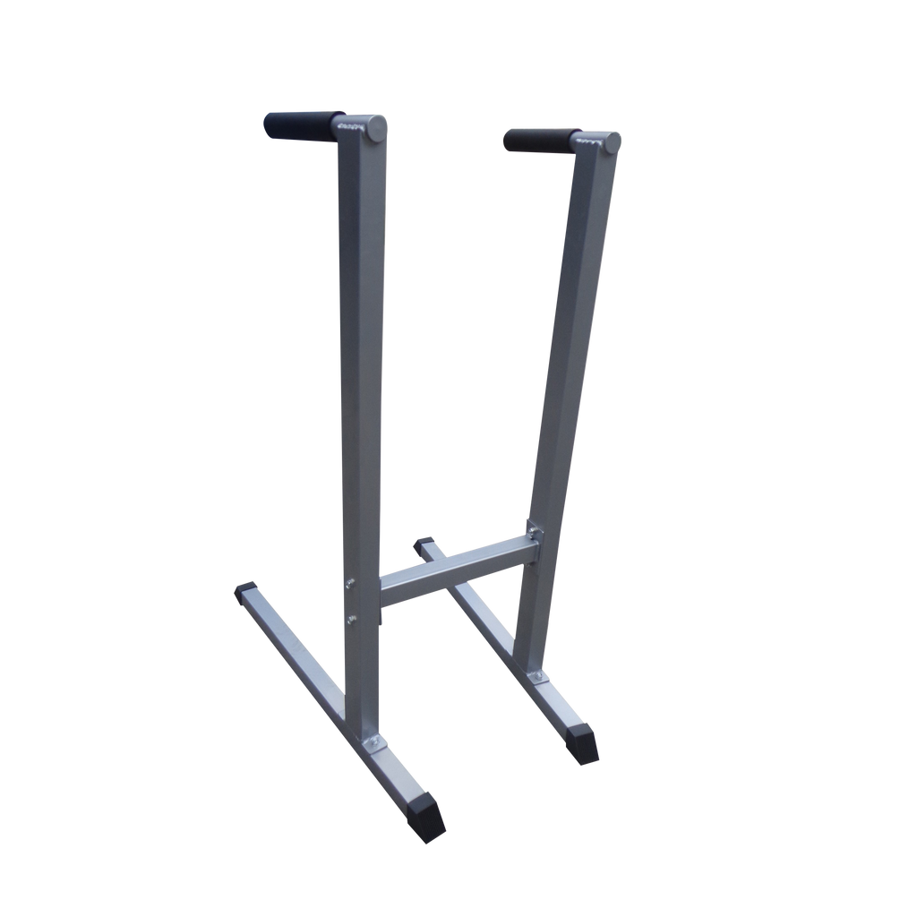 NNEDSZ Dip Station Gym Fitness