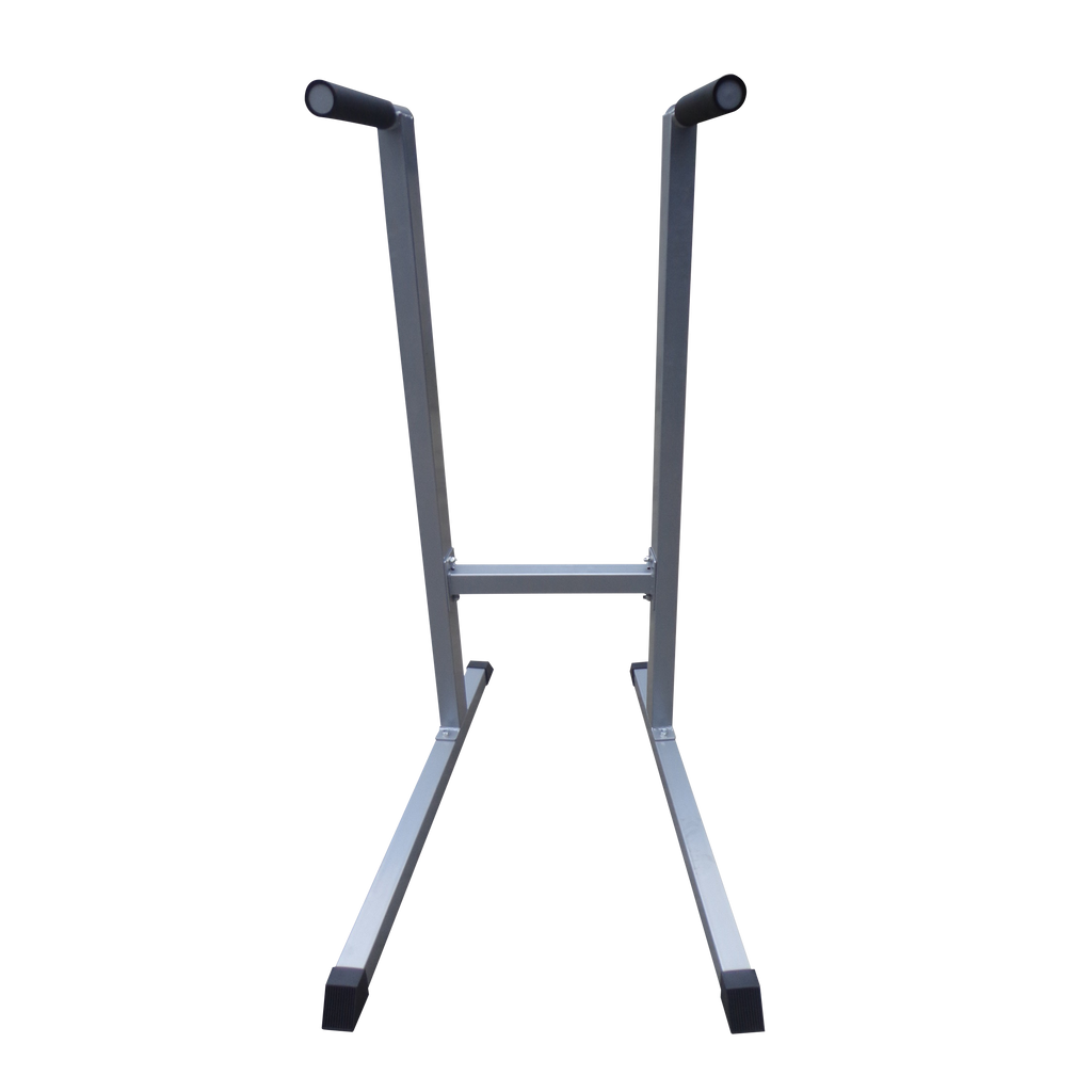 NNEDSZ Dip Station Gym Fitness